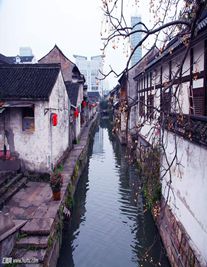 绍兴婚姻律师照片